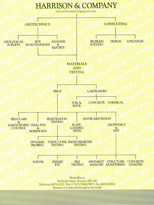 company-structure